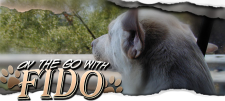 On the go with Fido