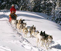 Dogsledding at the Rockhouse Ranch