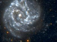 Messier Stars in the Milky Way