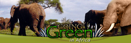 ROAD & TRAVEL Adventure Travel: Going Green in Africa