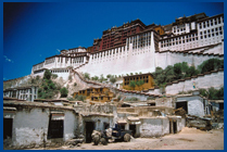 Tibetan Hillside
