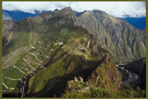 Peru Roadside
