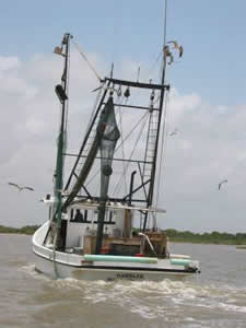 Shrimp Boat on the Intercoastal Waterway