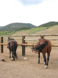 Parade Rest Ranch, guest ranch in Montana, near Yellowstone