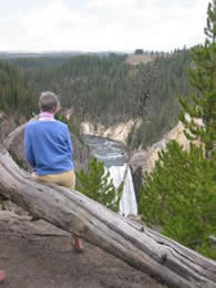 Lookout Point in Yellowstone's Grand Canyon