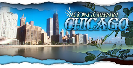 Going Green in Chicago