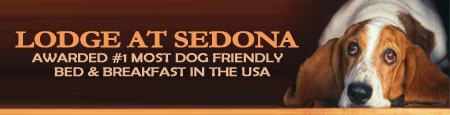 Most Dog Friendly Bed & Breakfast in the USA