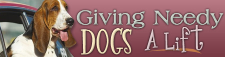 Giving Needy Dogs A Lift