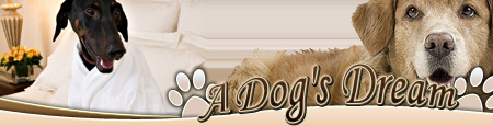 ROAD & TRAVEL Pet Travel: Dog Dream Hotel Program