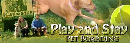 Pet Boarding in Troy, Michigan - Pet Day Care Center