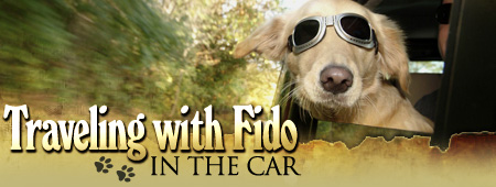 Traveling with Fido