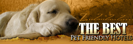 Best Pet Friendly Lodging in the U.S., pet friendly hotel accommodations in America