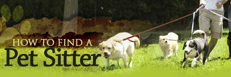 How to Find a Pet Sitter
