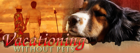 Vacationing Without Pets - Automatic Pet Products