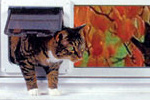 Vacationing without Pets - Thermo Sash II Pet Door