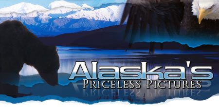 Alaska Picture Tours