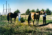 Prairie Women Adventures at the Homestead Ranch, Matfield Green