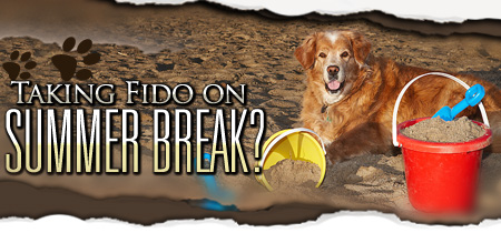 Taking Fido on Summer Break? 